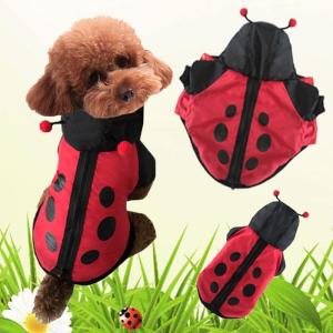 てんとう虫 コスプレ 犬服 アクセサリー の商品一覧 犬用品 ペット用品 生き物 通販 Yahoo ショッピング