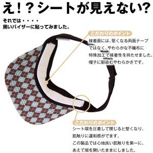 アセトールサラッピィの詳細画像3