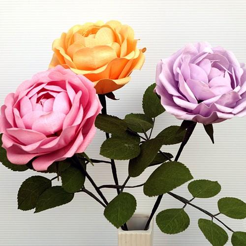 薔薇　ベビーディンプル (1輪）　キット *ネコポス便配送*