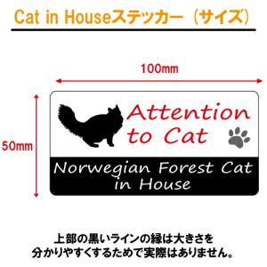ノルウェージャンフォレストキャット イン ハウ...の詳細画像2