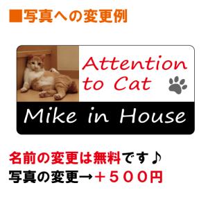 ノルウェージャンフォレストキャット イン ハウ...の詳細画像3