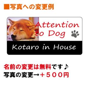 ゴールデン・レトリーバー イン ハウス ステッ...の詳細画像3