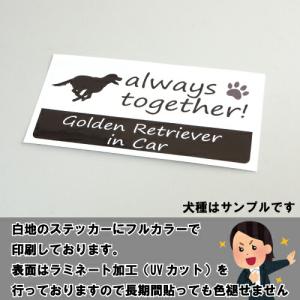 ゴールデン・レトリーバー イン ハウス ステッ...の詳細画像4