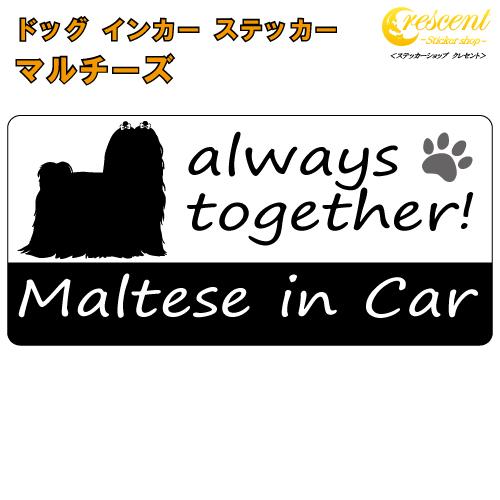 マルチーズ maltese in Car ステッカー プリントタイプ dog in car ドッグ ...