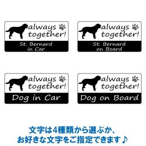 セント・バーナード st.bernard in...の詳細画像1