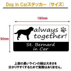 セント・バーナード st.bernard in...の詳細画像2