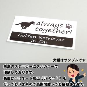 セント・バーナード st.bernard in...の詳細画像4
