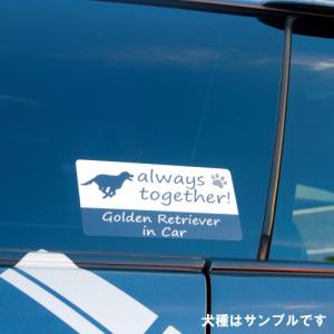 セント・バーナード st.bernard in...の詳細画像5
