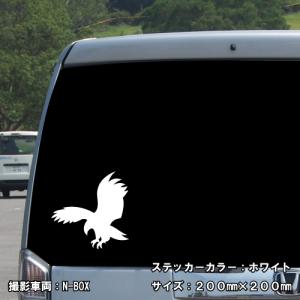 イーグル ステッカー 07 全26色 5サイズ...の詳細画像4
