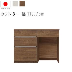 キッチンカウンター 幅120cm 高さ93cm 18.4才 天板下台セット WH木目 BR木目 ダストボックス対応 カウンターテーブル GMK
