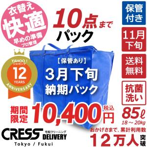 クリーニング 保管 宅配 関東〜中国地方は 85リットル