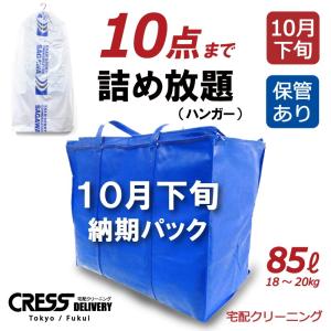 宅配 クリーニング (10月下旬納期 青10点ハンガー) 保...
