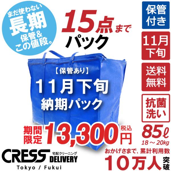 期間限定セール 15,800円→ クーポン使用で13,300円 クリーニング 宅配 詰め放題 ダウン...