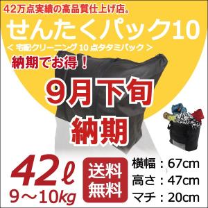 宅配 クリーニング (9月下旬納期 黒10点タタミ) せん...