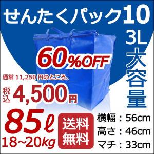 クリーニング 宅配 往復 送料無料　「せんたくパック １０　（85リットル）」　【クレス宅配クリーニング】１０点まで詰め放題！