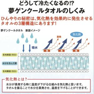 【2個セット】夢ゲンクールタオル スポーツ U...の詳細画像5