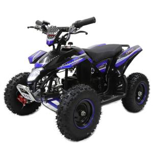 RSBOX 電動バギー 4輪ATV最新1000W前後ディスクブレーキMINI