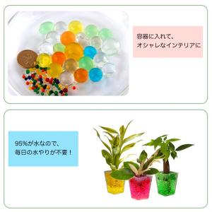 水でふくらむ ジェリーボール 水耕栽培 インテ...の詳細画像2