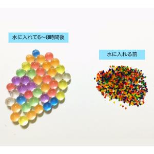 水でふくらむ ジェリーボール 水耕栽培 インテ...の詳細画像3