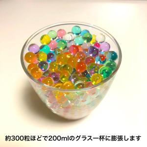 水でふくらむ ジェリーボール 水耕栽培 インテ...の詳細画像4