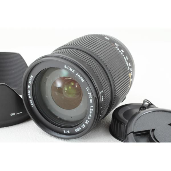 SIGMAシグマ 18-250mm F3.5-6.3 DC MACRO OS HSM Nikonニコ...