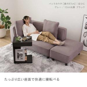 ソファー ペット 猫 犬 爪 ひっかき カウチ...の詳細画像3