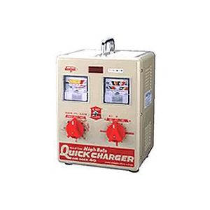 デンゲン シリコン式急速充電器（ハイレートマックス70D） HR-MAX70D