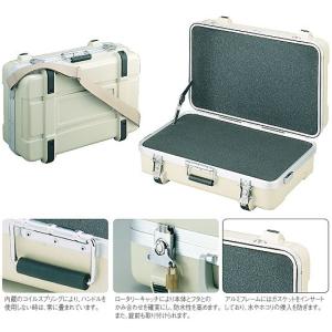 HOZAN（ホーザン） ツールケース B-80 : ケミカル用品と工具のCRK販売