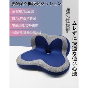 フォトピー光線医療用波長4カーボン緑（総合光線）10本入り : 光線