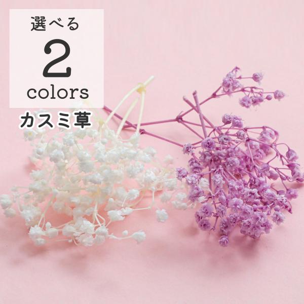【小分け】ドライフラワー 花材 プリザーブドフラワー カスミ草 ミリオンスター 花材 資材 素材 ハ...