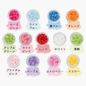 花材 小分け スターフラワー マルセラ レジン...の詳細画像1