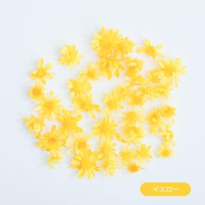 花材 小分け スターフラワー マルセラ レジン...の詳細画像5