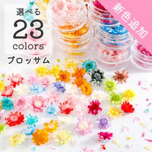 【花材】スターフラワー ブロッサム 23色 小分...の商品画像