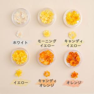 【花材】スターフラワー ブロッサム 23色 小...の詳細画像4