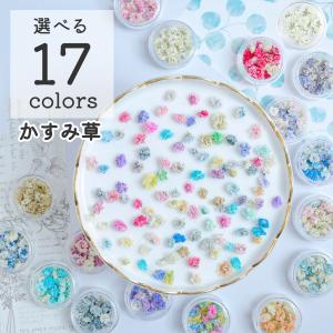 ドライフラワー 花材 かすみ草 つぼみ 選べる17色 小分け レジン封入 小花 約20粒 ケース入り アクセサリー ハンドメイド