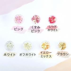 ドライフラワー 花材 かすみ草 つぼみ 選べる...の詳細画像2