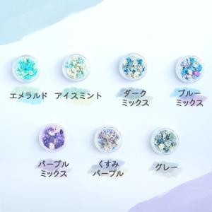ドライフラワー 花材 かすみ草 つぼみ 選べる...の詳細画像3