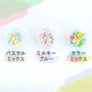 ドライフラワー 花材 かすみ草 つぼみ 選べる...の詳細画像4