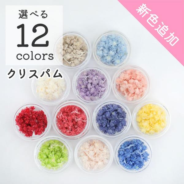 【ドライフラワー レジン封入】小分け クリスパム 花材 12色 素材 材料 ガラスドーム レジン ハ...