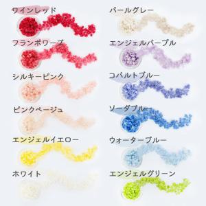 【ドライフラワー レジン封入】小分け クリスパ...の詳細画像1