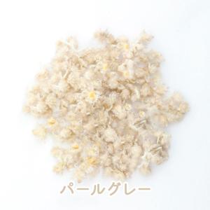 【ドライフラワー レジン封入】小分け クリスパ...の詳細画像3