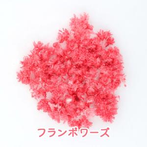 【ドライフラワー レジン封入】小分け クリスパ...の詳細画像4