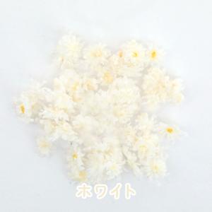 【ドライフラワー レジン封入】小分け クリスパ...の詳細画像5