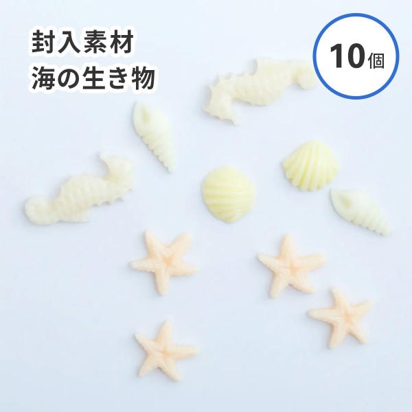【レジン 封入材】ヒトデ 貝 タツノオトシゴ 海 生き物 パステル 素材 デコレーション 海 夏 ビ...