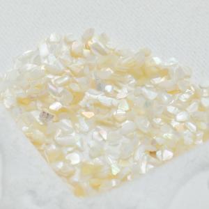 【レジン 封入素材】シェルフレーク さざれ ケ...の詳細画像2