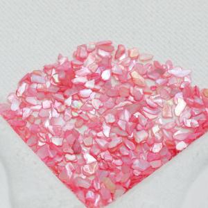 【レジン 封入素材】シェルフレーク さざれ ケ...の詳細画像4