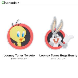 クロックス CROCS ジビッツ jibbit...の詳細画像1