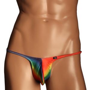 メンズビキニ TM 2025 swimwear Variety of patterns Sexycut Tバック 水着 Mサイズ