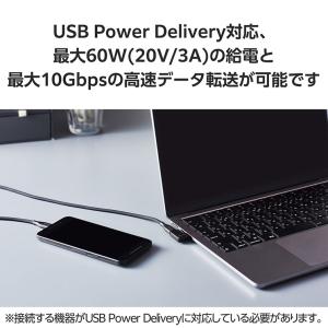 USB-C L字 変換 アダプタ 横向き &l...の詳細画像4