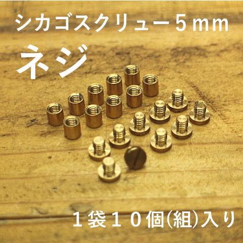 真鍮 パーツ シカゴスクリュー(真鍮)5ｍｍネジ 1袋10組入り  コンチョ 材料/ジャンパーホック...